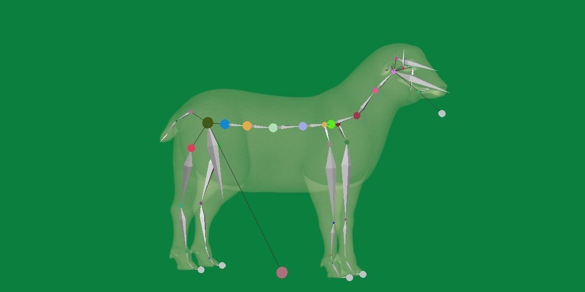 Columbia Sheep Low-poly 3D model_10