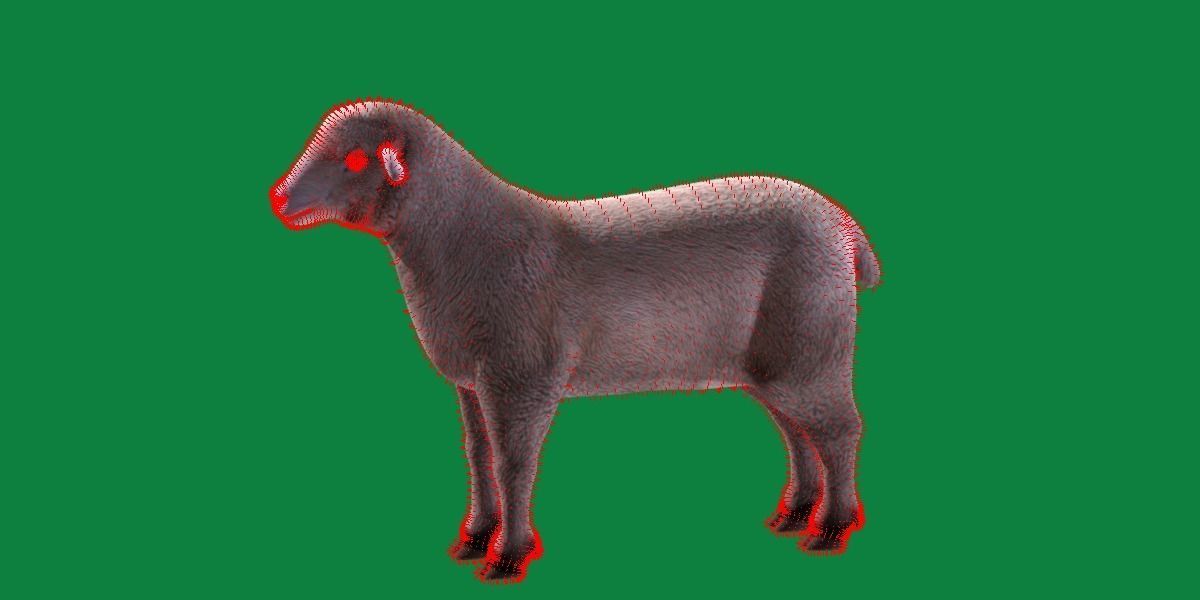 Columbia Sheep Low-poly 3D model_17