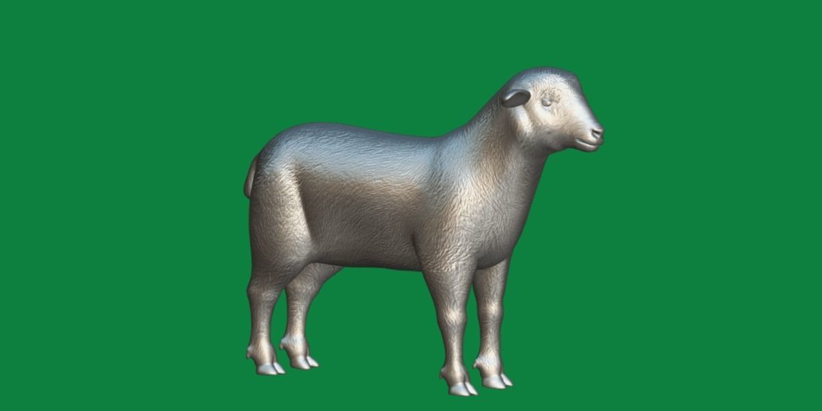 Columbia Sheep Low-poly 3D model_20