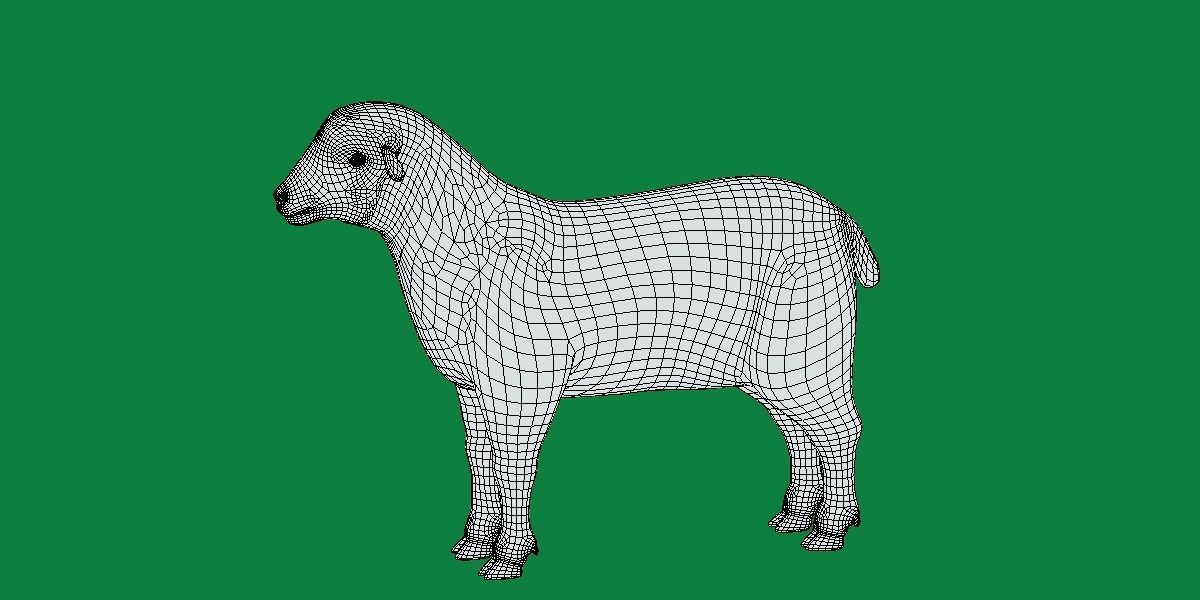 Columbia Sheep Low-poly 3D model_15