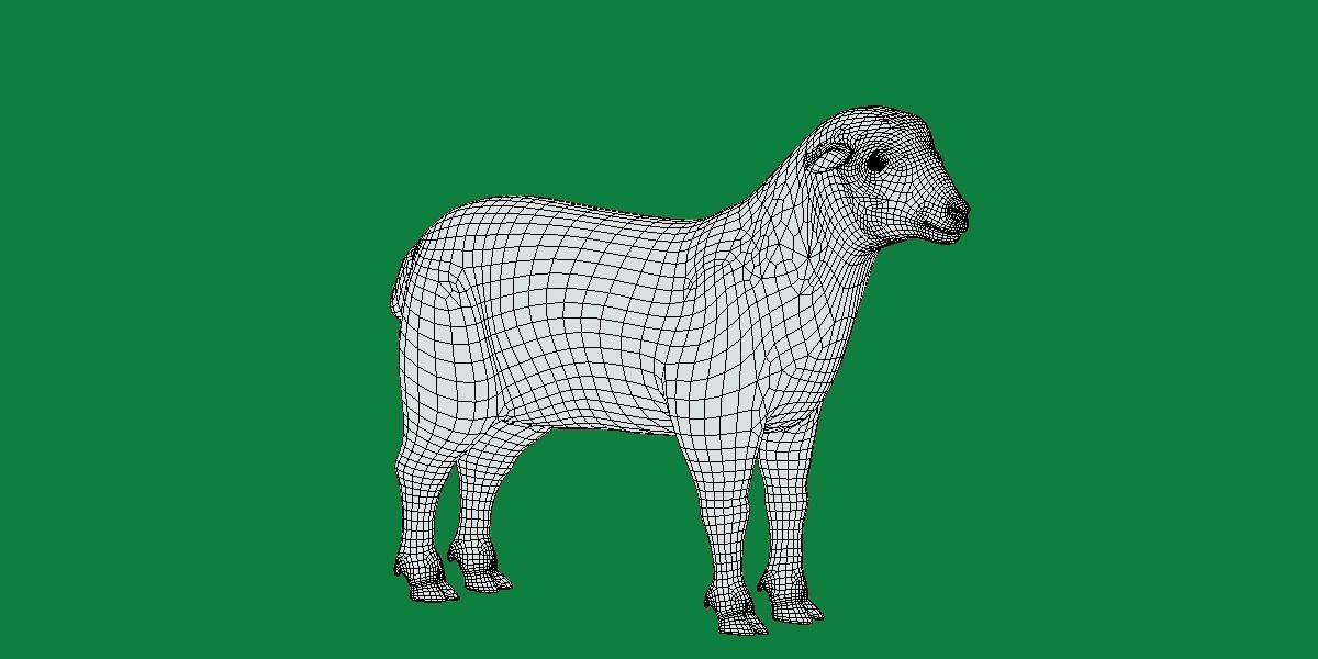 Columbia Sheep Low-poly 3D model_13