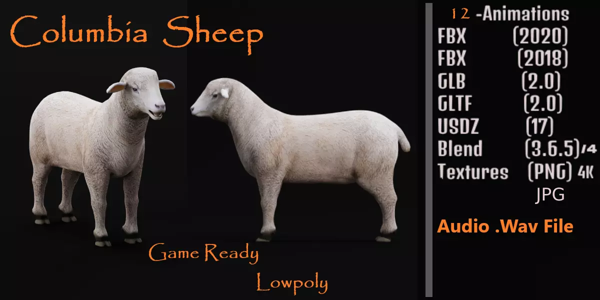 Columbia Sheep Low-poly 3D model_0