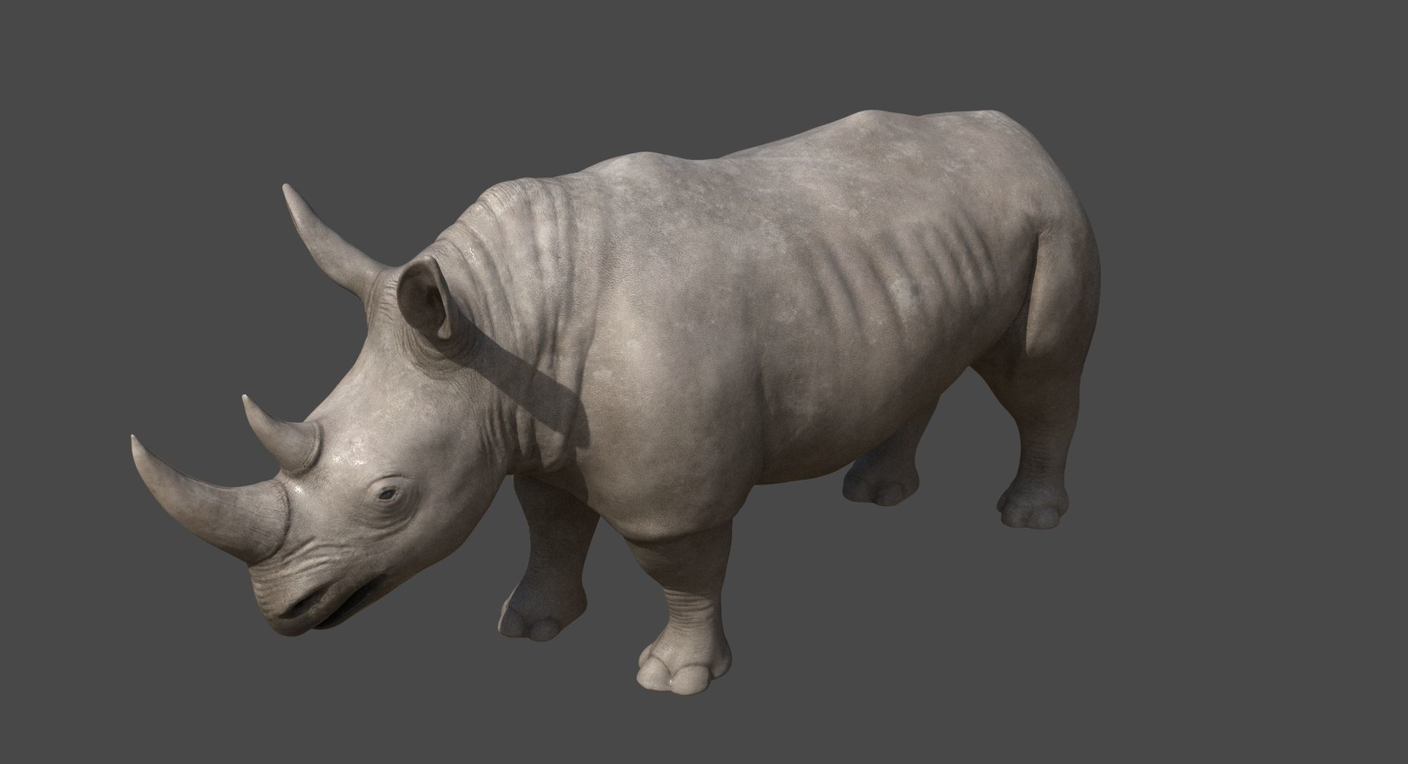 Rhino 3D model_2