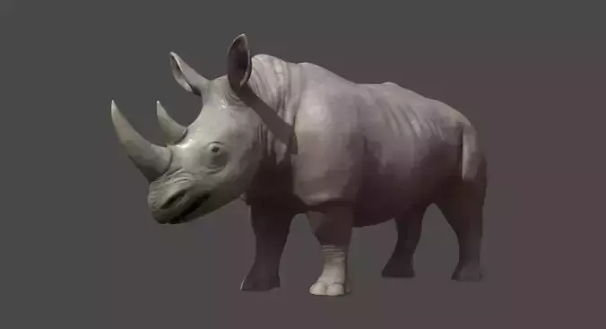 Rhino 3D model