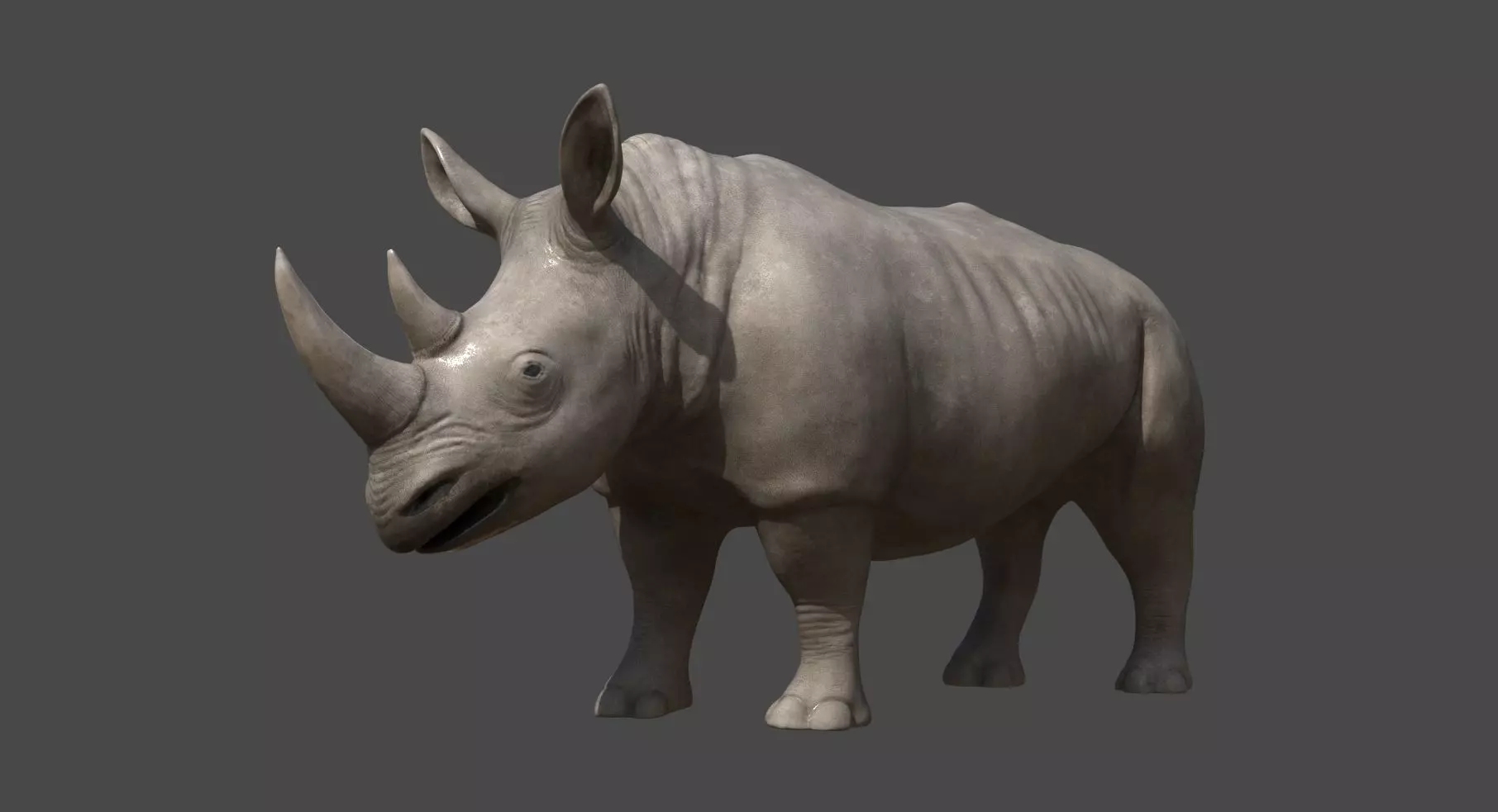 Rhino 3D model_0
