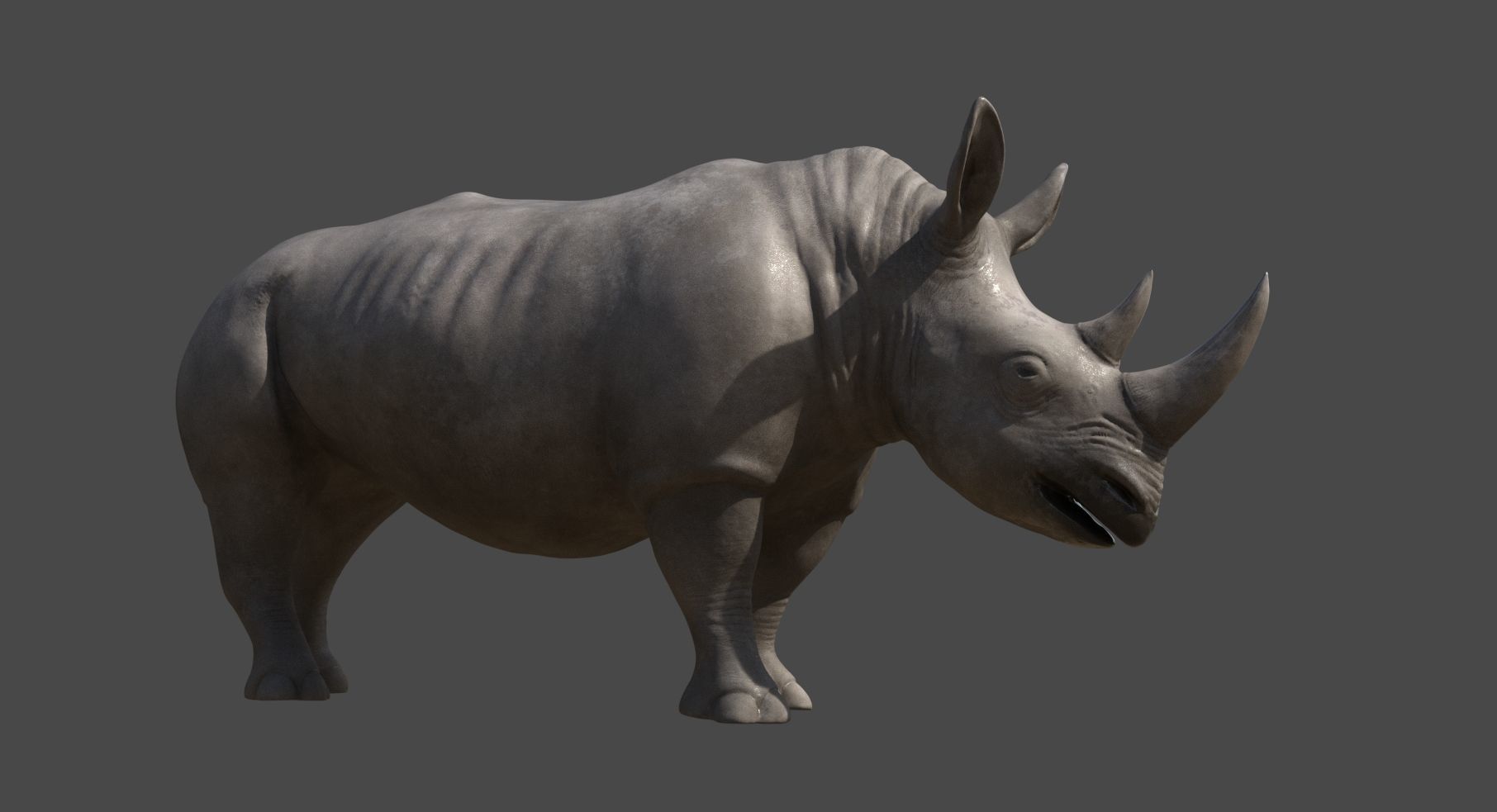 Rhino 3D model_1