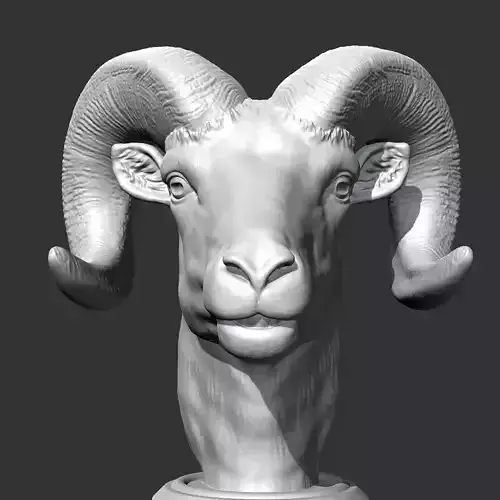 Bighorn sheep Head AM34 3D print model