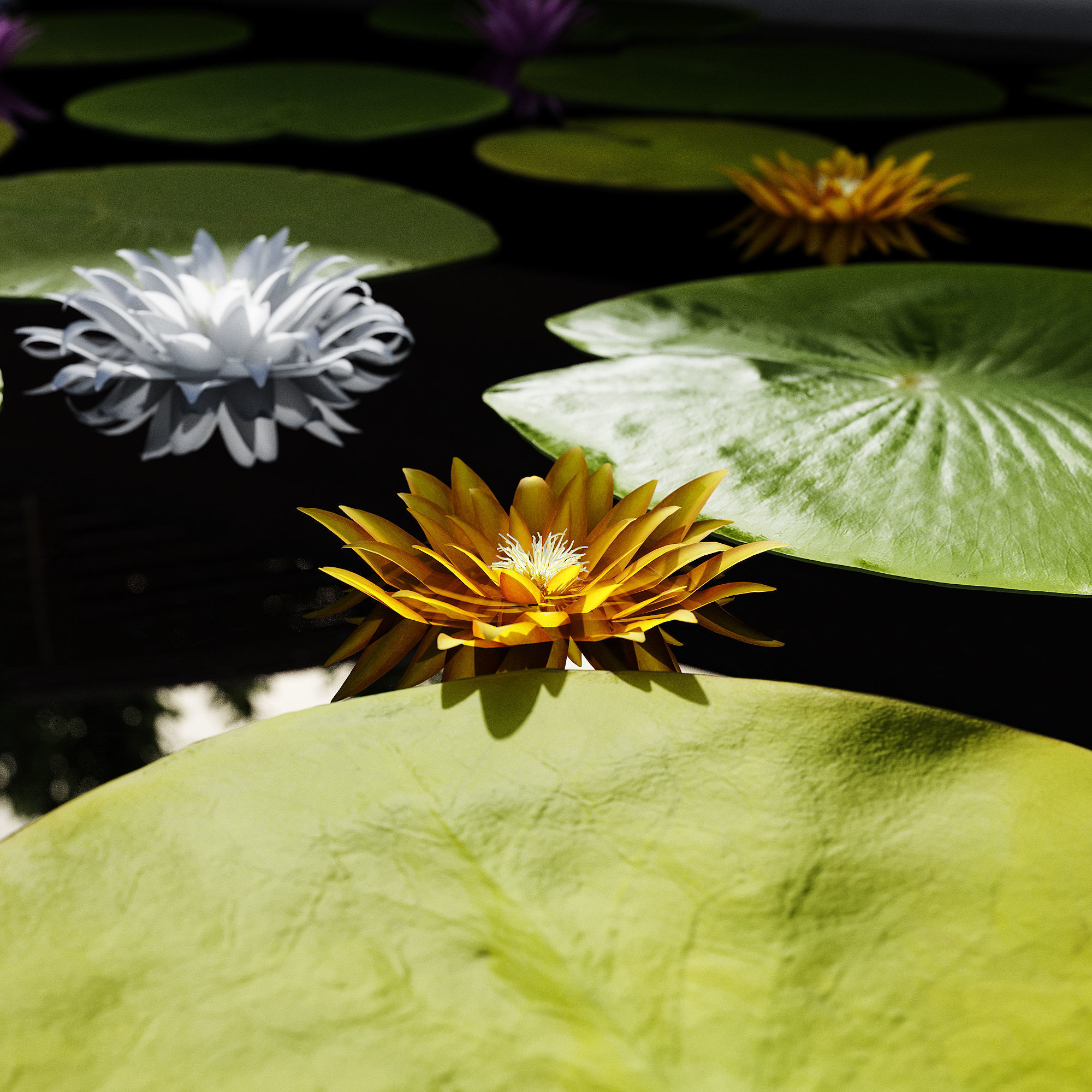 Outdoor Plants -  town Square 2 3D model_5