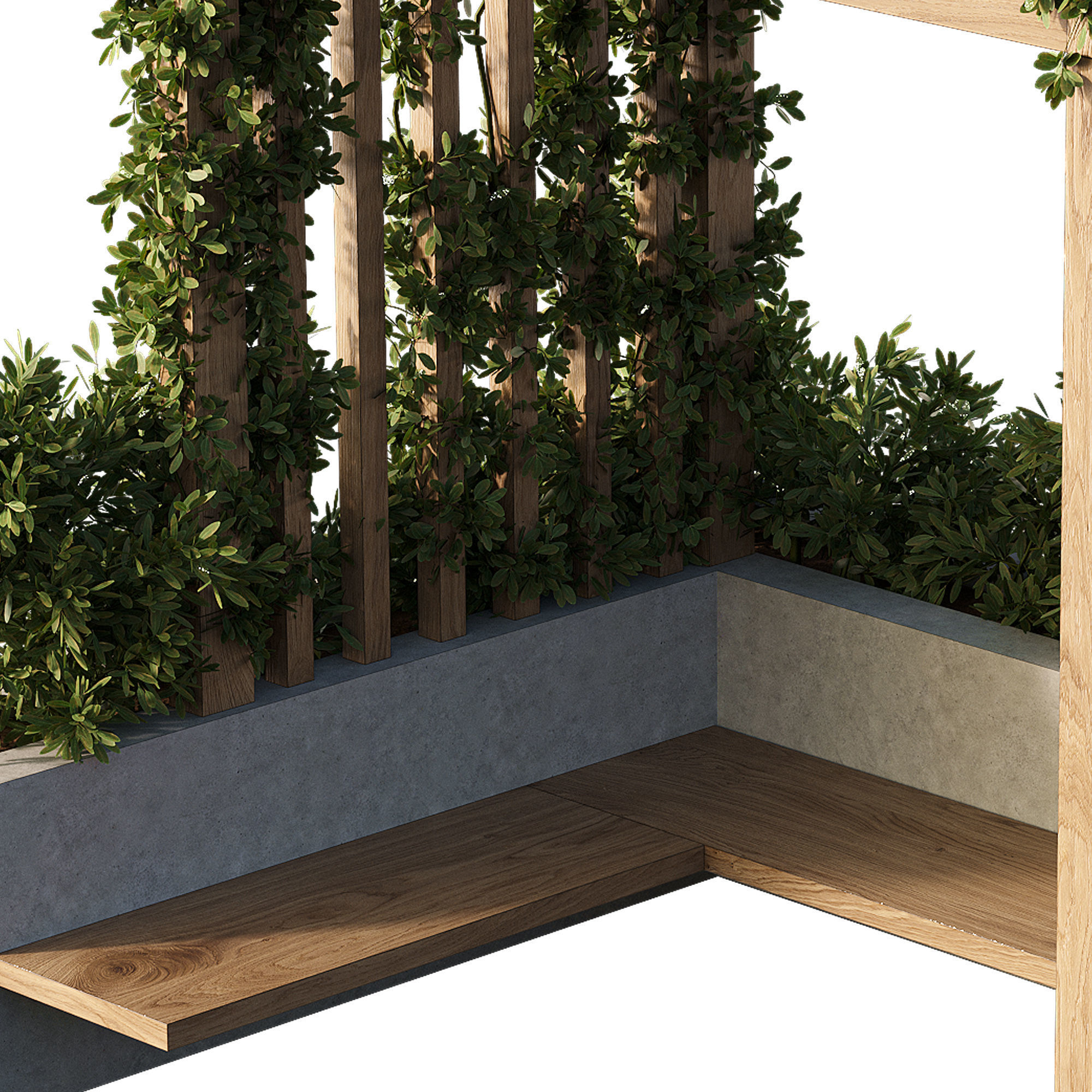 OutDoor plants - 3  Pergola plants set 3D model_2