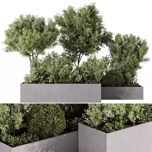  Outdoor Plants - 5 Plants in box 3D model