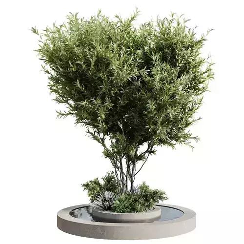 Outdoor Plants 6 3D model