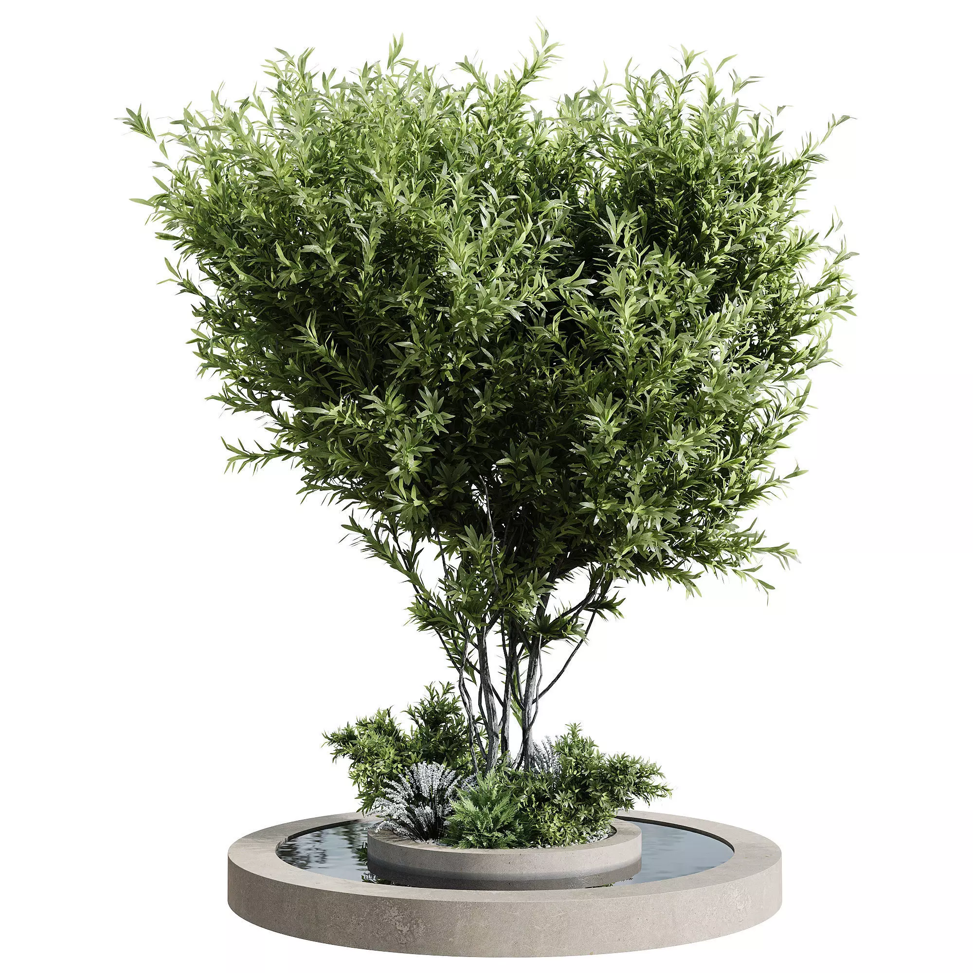 Outdoor Plants 6 3D model_0