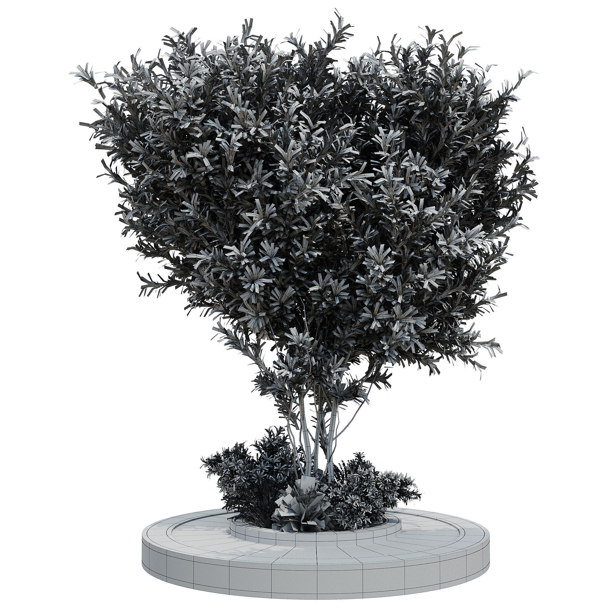 Outdoor Plants 6 3D model_2