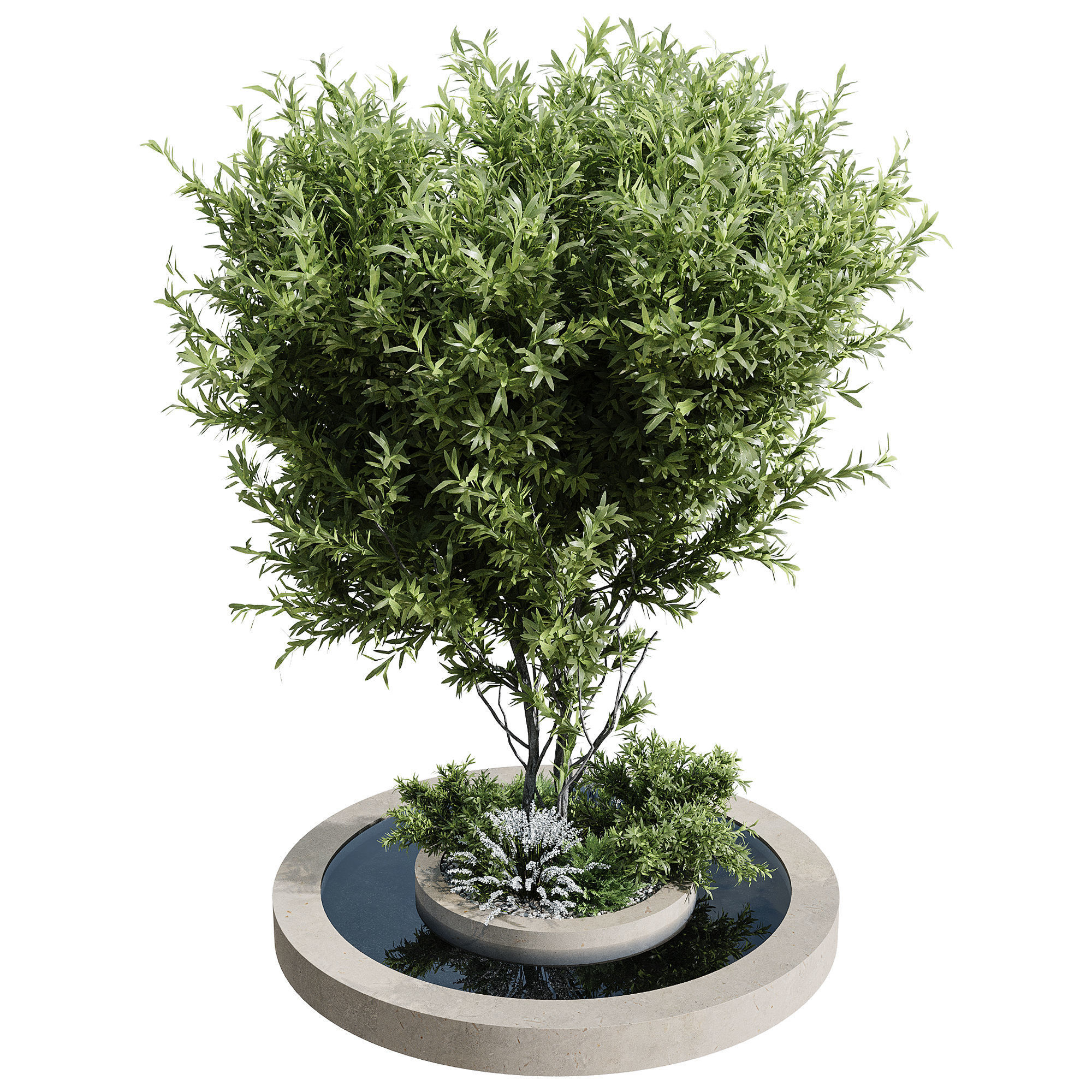 Outdoor Plants 6 3D model_1