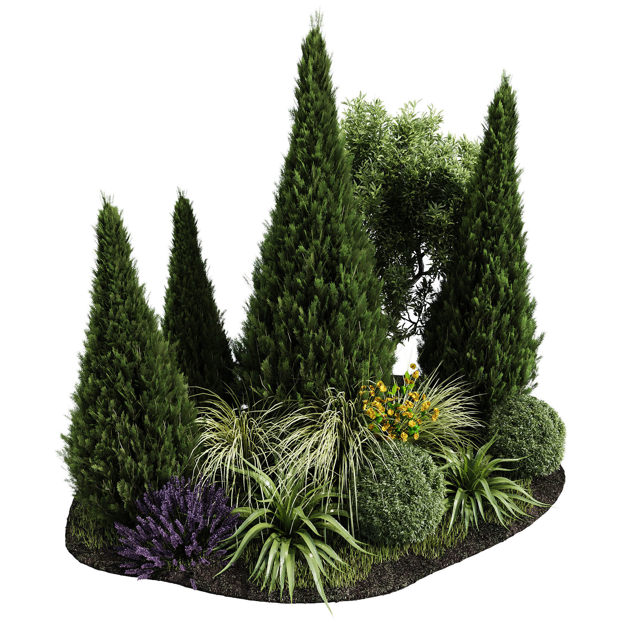 Outdoor Plants 8 3D model_1