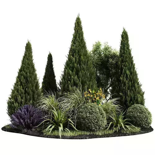 Outdoor Plants 8 3D model