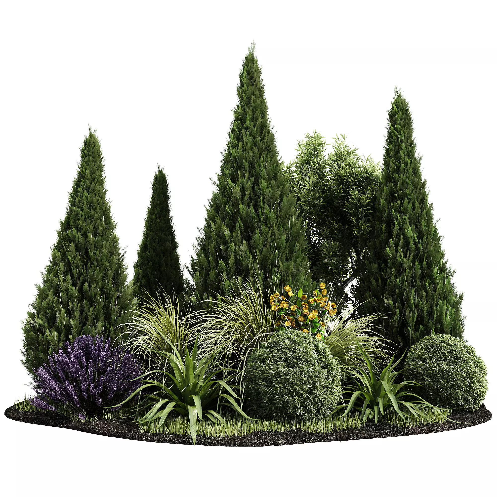 Outdoor Plants 8 3D model_0