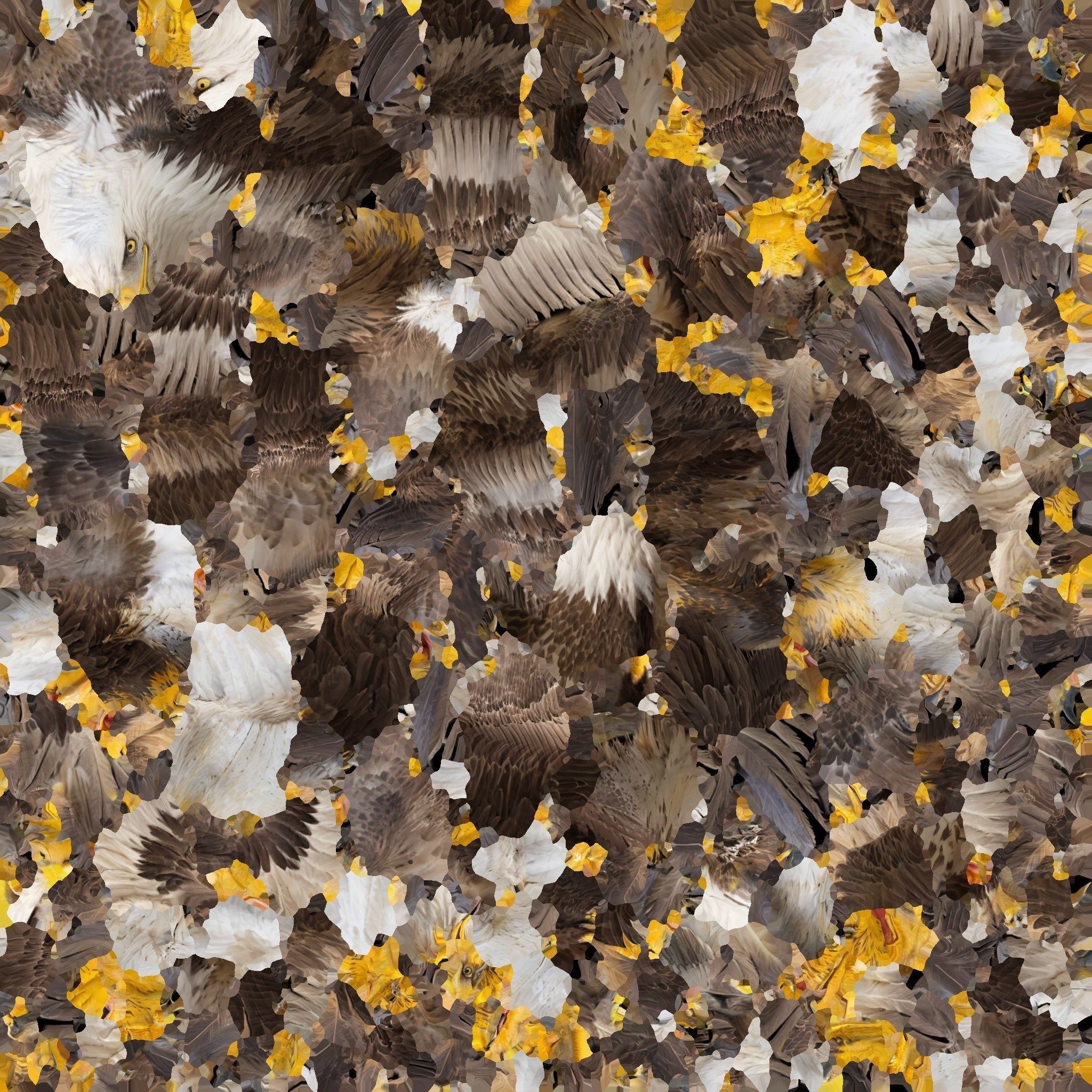 Bald Eagle 3D Model obj fbx stl ply mtl texture 3D model_15