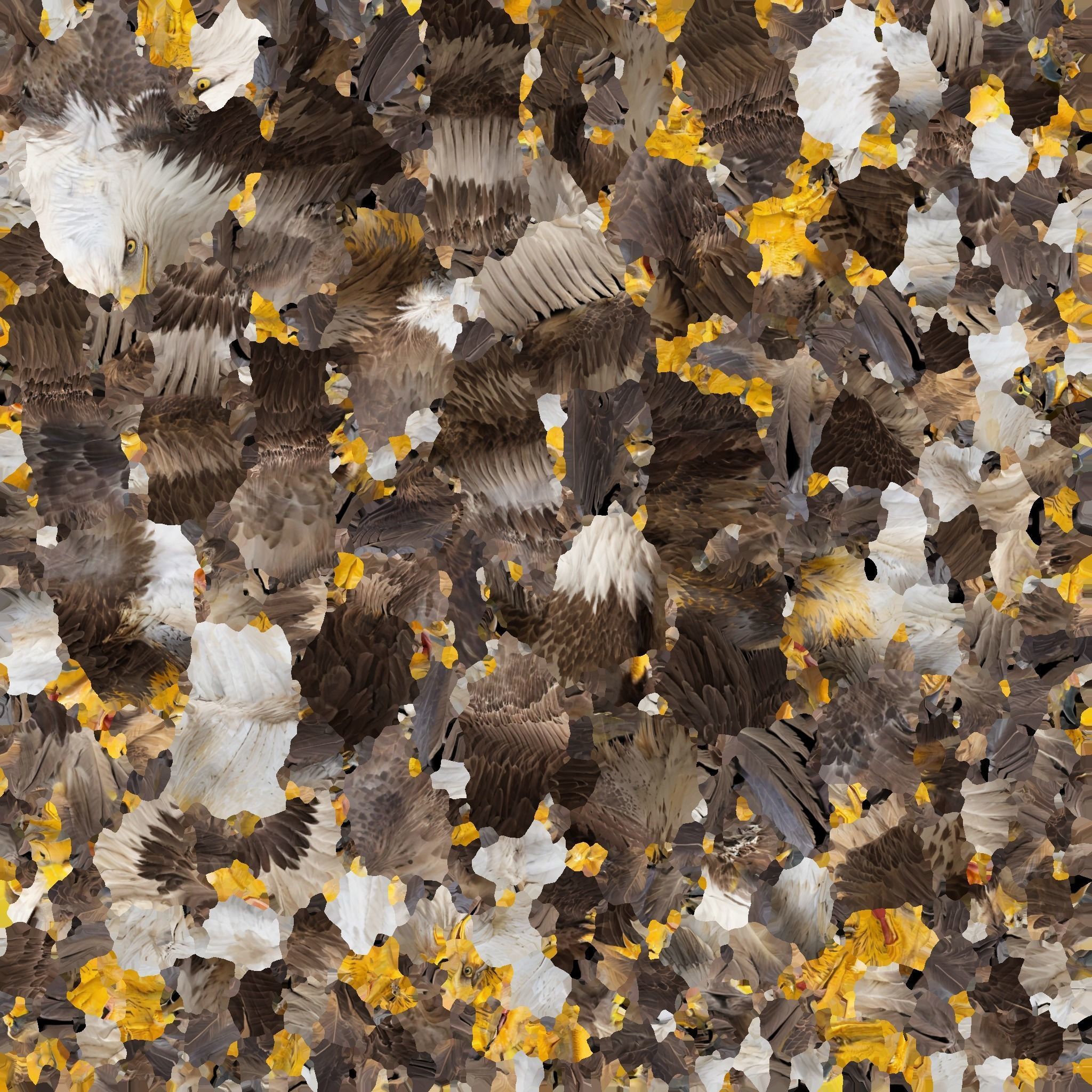 Bald Eagle 3D Model obj fbx stl ply mtl texture 3D model_16