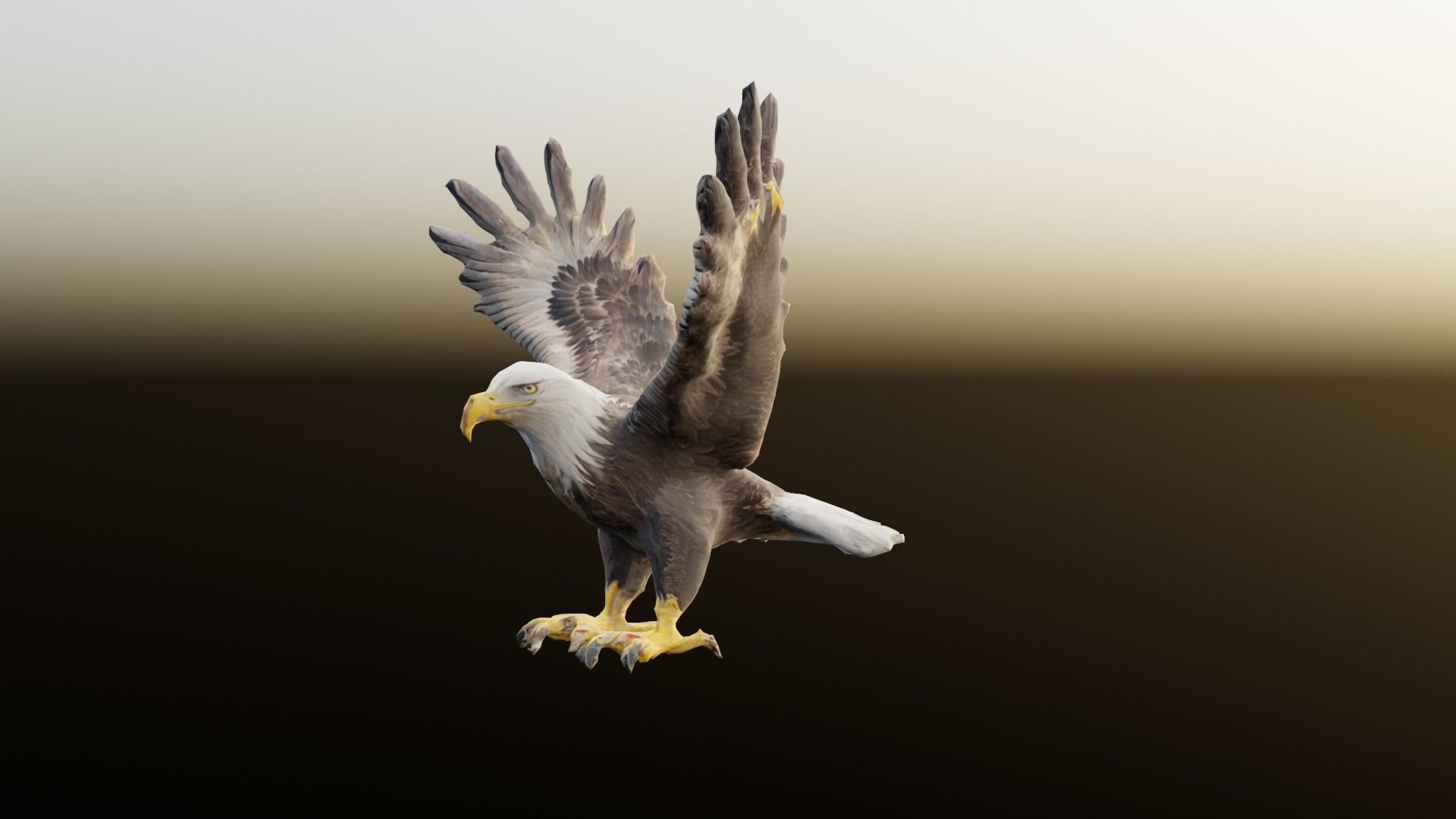 Bald Eagle 3D Model obj fbx stl ply mtl texture 3D model_1