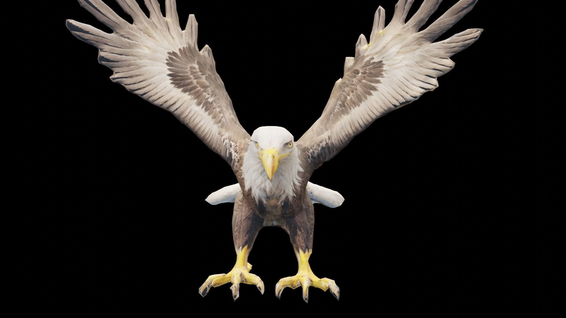Bald Eagle 3D Model obj fbx stl ply mtl texture 3D model_9