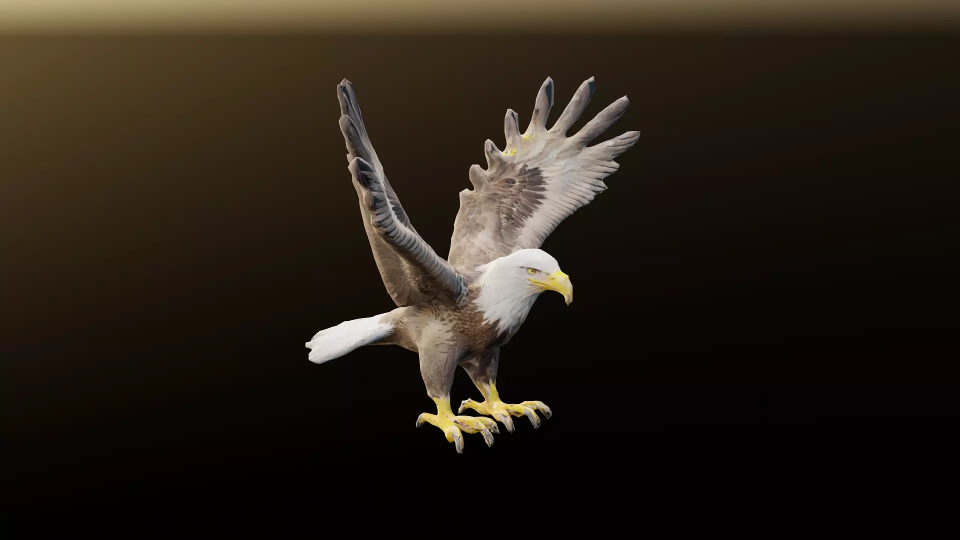 Bald Eagle 3D Model obj fbx stl ply mtl texture 3D model_0