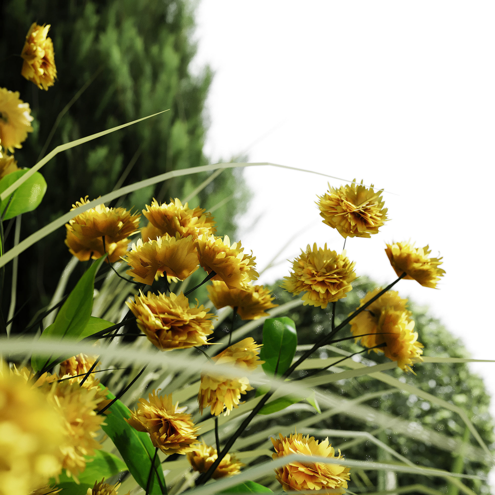 Outdoor plants and town square collection 01 _31