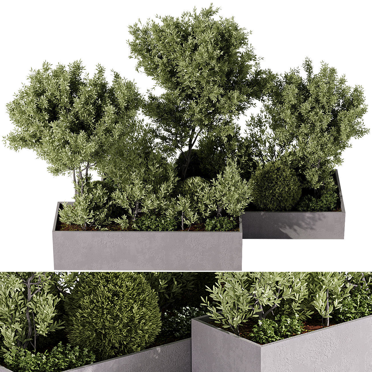 Outdoor plants and town square collection 01 _20