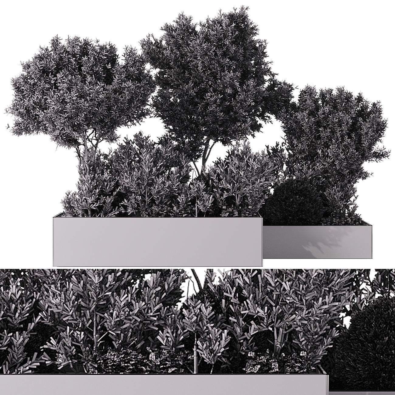 Outdoor plants and town square collection 01 _22