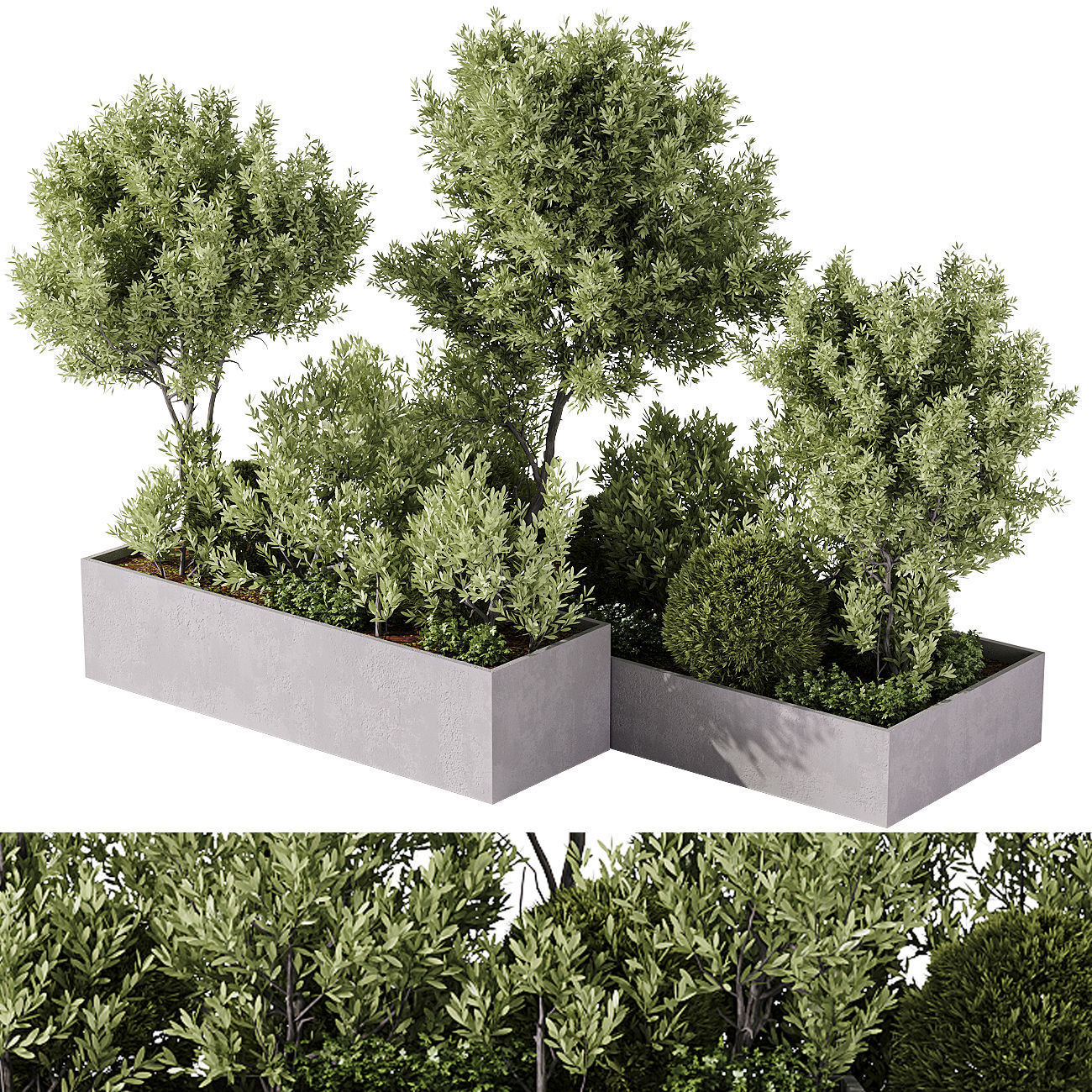 Outdoor plants and town square collection 01 _21