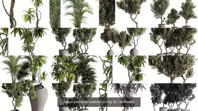 Indoor plants set collection 01 by dii