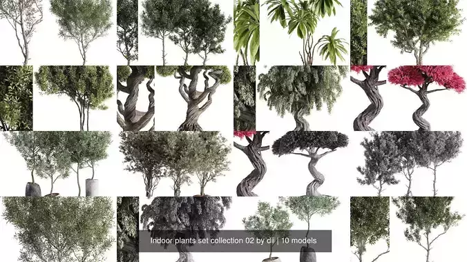 Indoor plants set collection 02 by dii