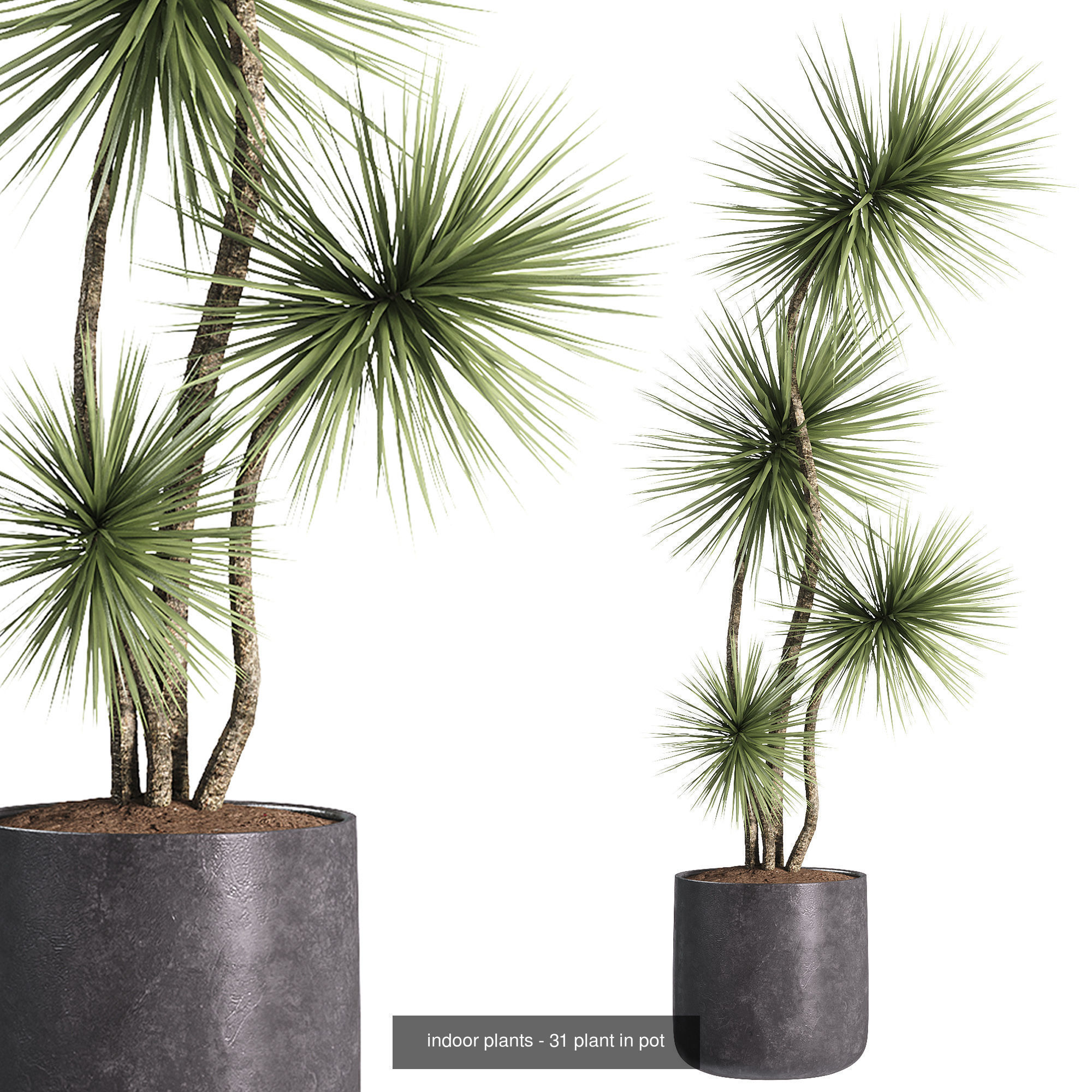 Indoor plants set collection 03 by dii _8