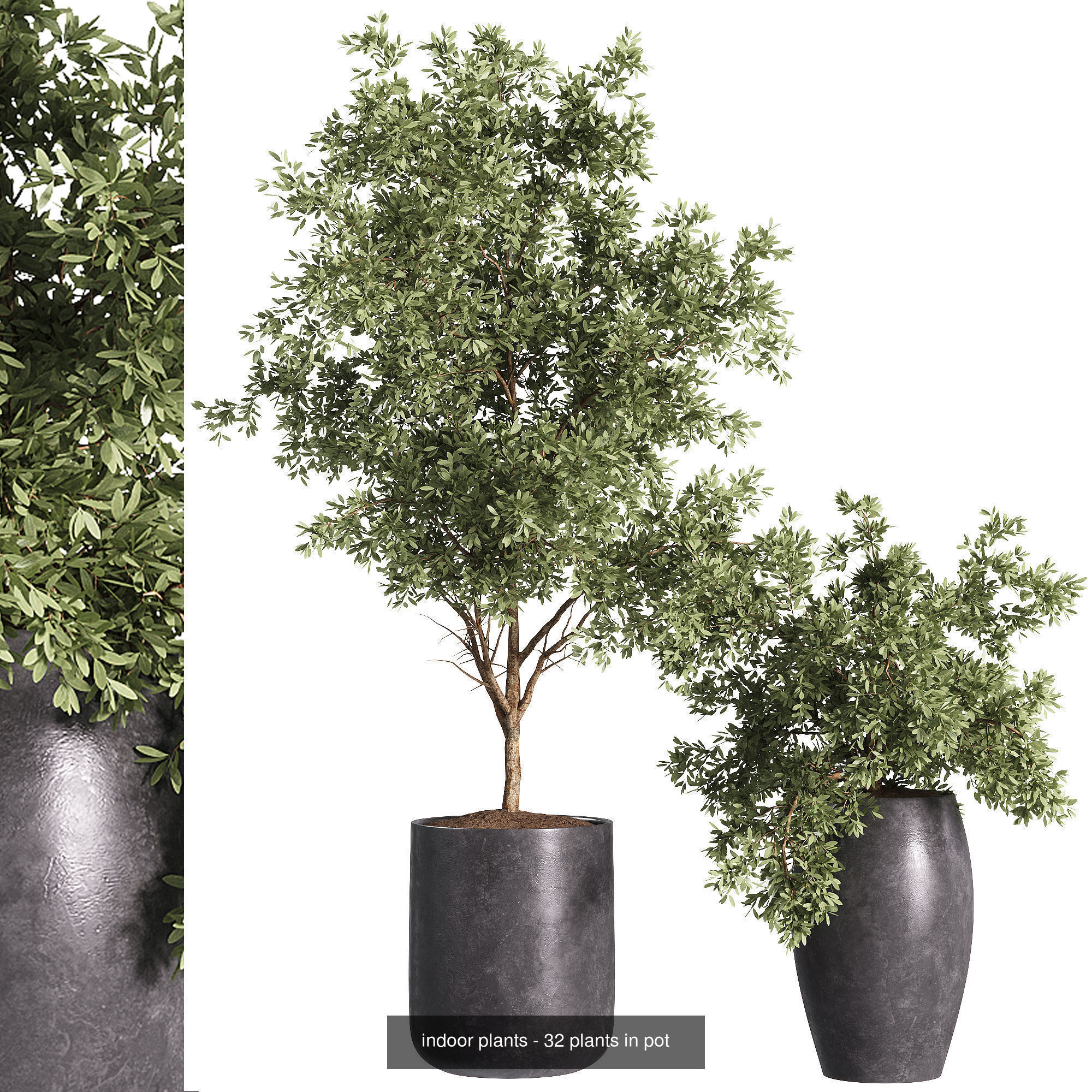 Indoor plants set collection 03 by dii _9