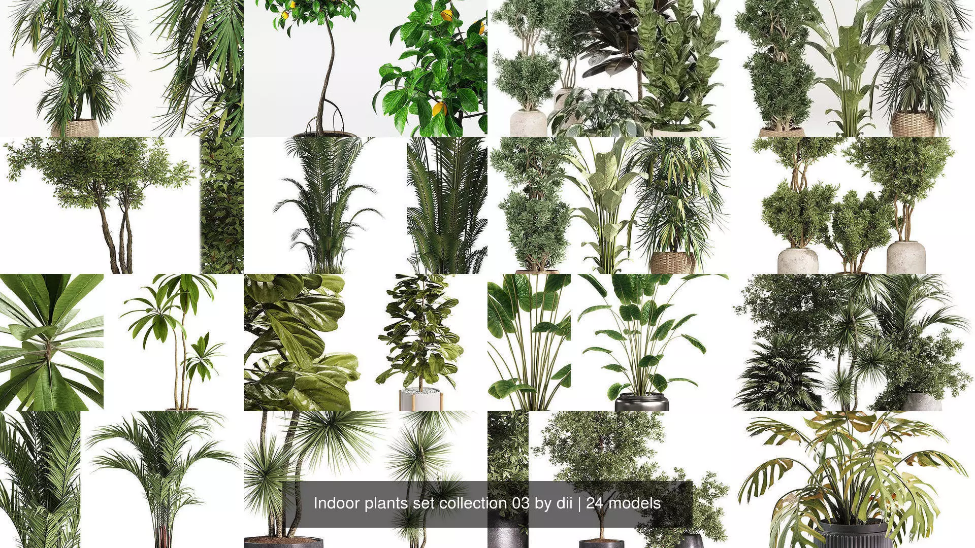 Indoor plants set collection 03 by dii _0