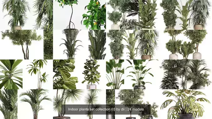Indoor plants set collection 03 by dii