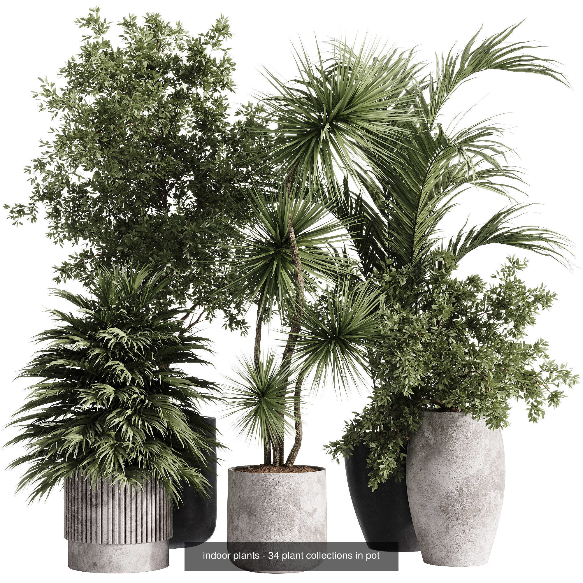 Indoor plants set collection 03 by dii _6