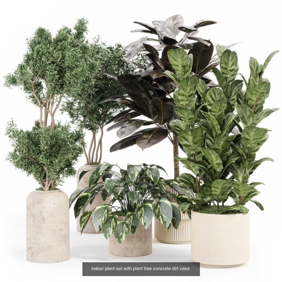 Indoor plants set collection 03 by dii _26