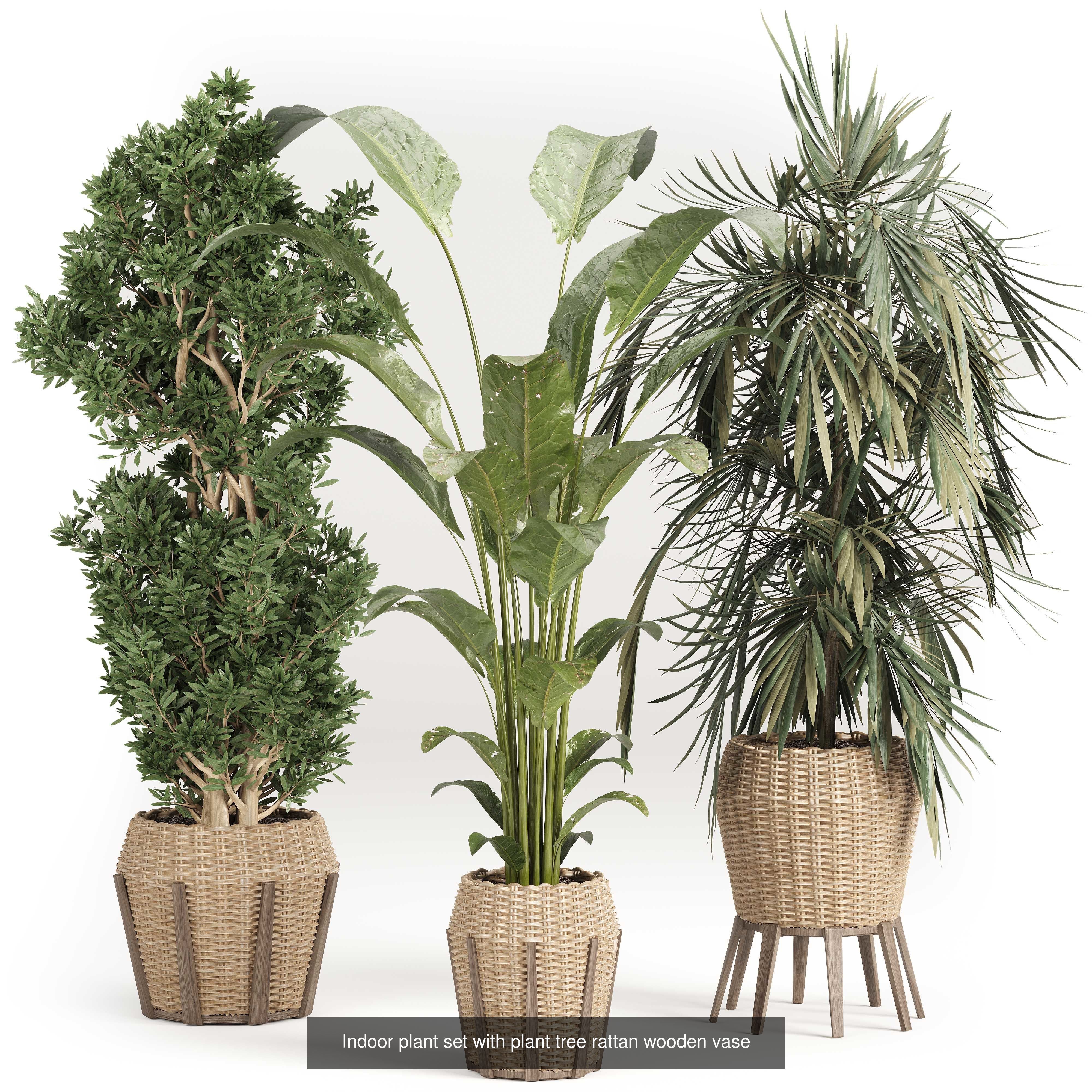 Indoor plants set collection 03 by dii _22