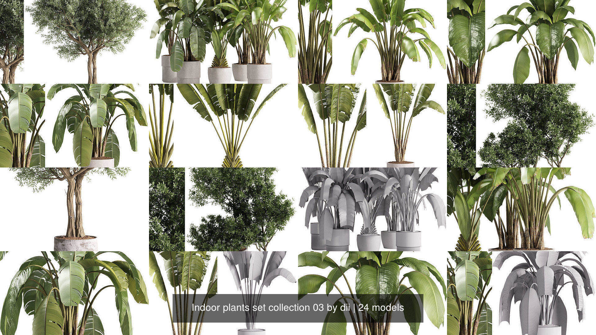 Indoor plants set collection 03 by dii _2
