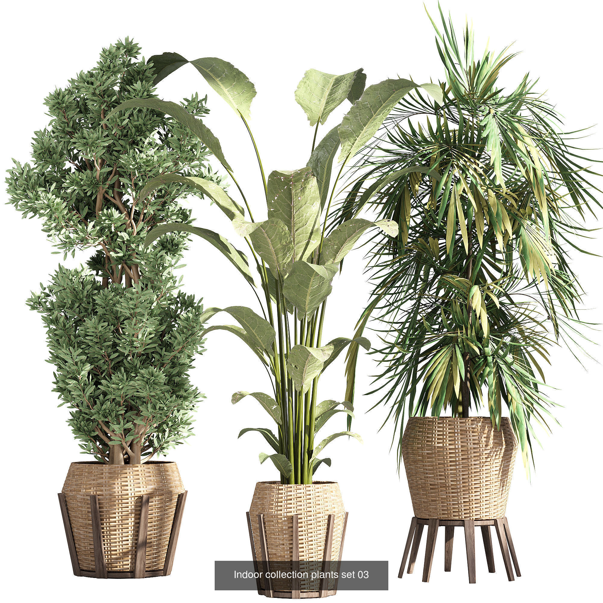 Indoor plants set collection 03 by dii _24