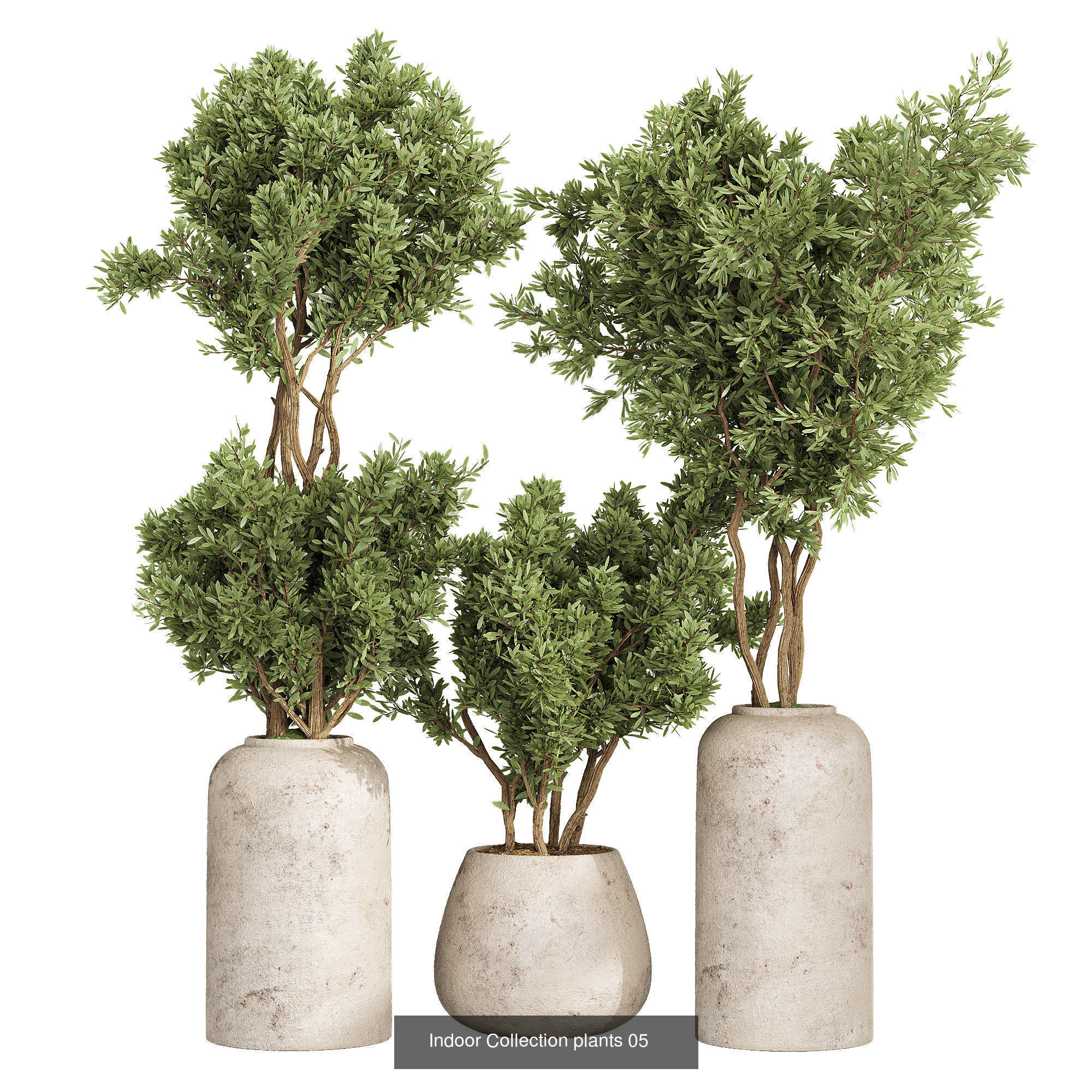 Indoor plants set collection 03 by dii _25