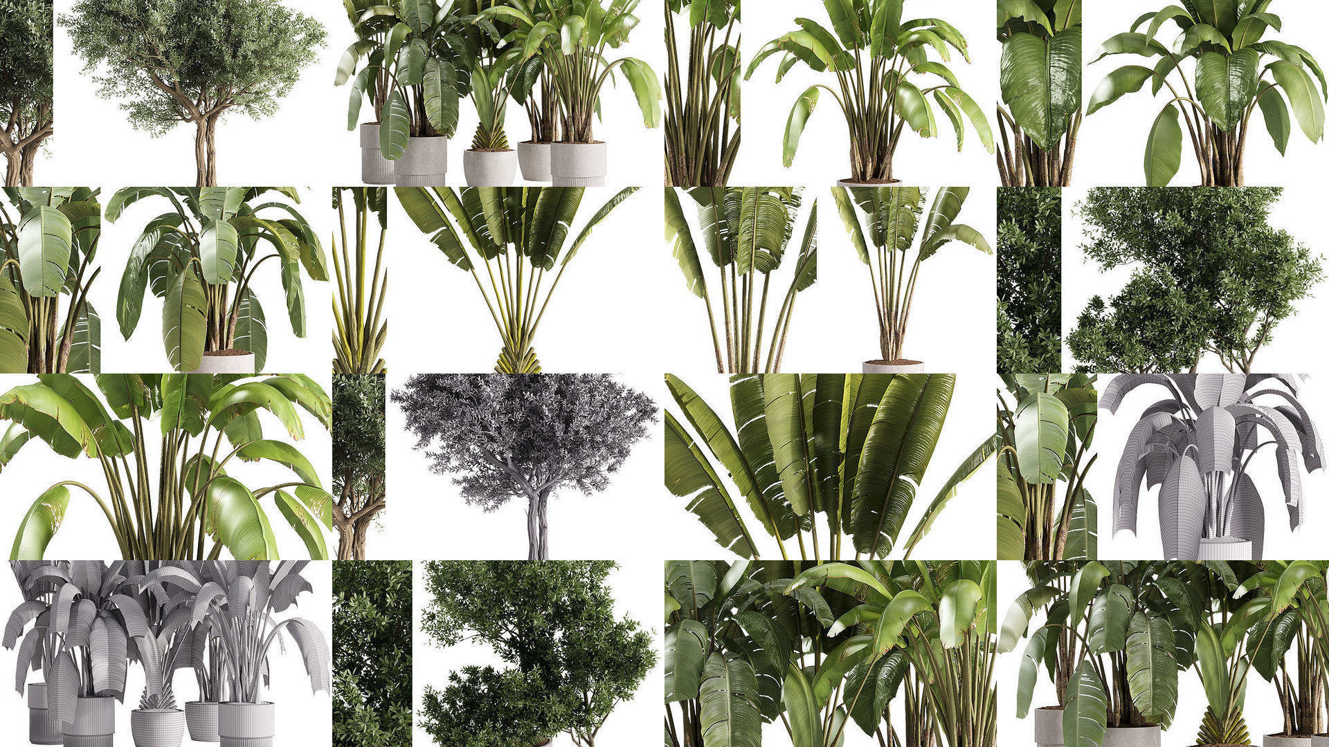 Indoor plants set collection 03 by dii _1