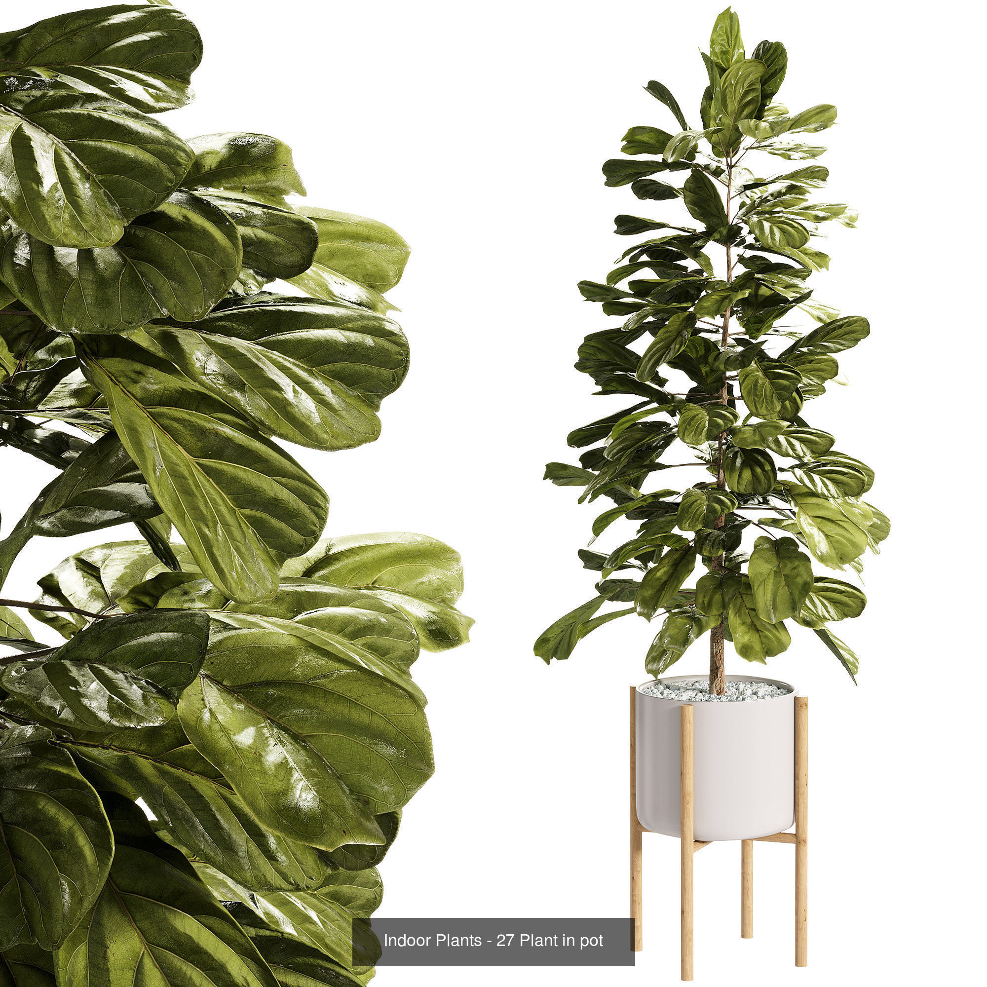 Indoor plants set collection 03 by dii _4