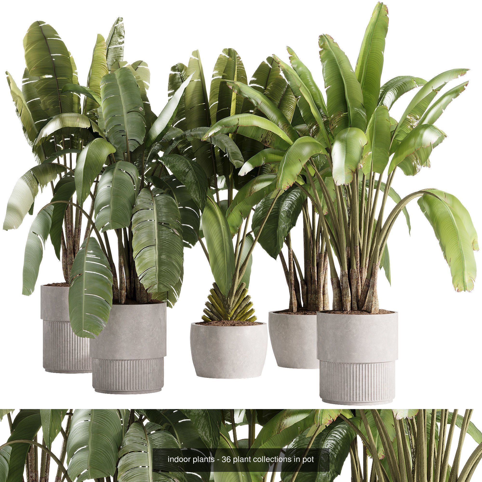 Indoor plants set collection 03 by dii _13