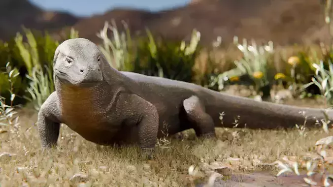 KOMODO DRAGON
