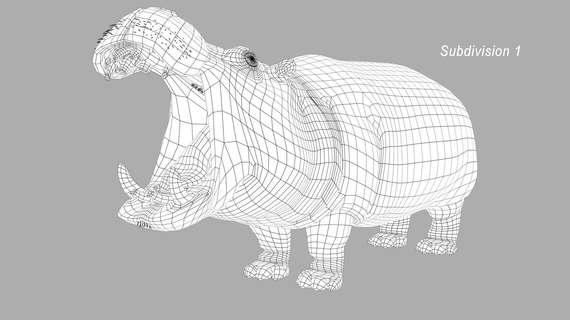 Hippopotamus 3D model_19