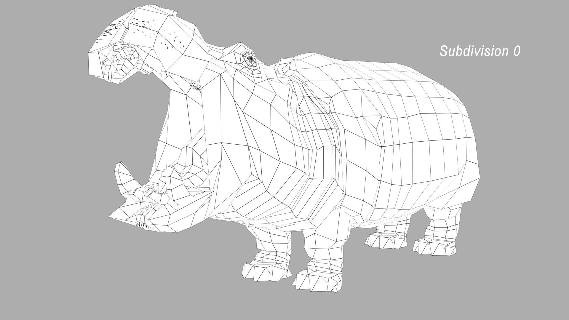 Hippopotamus 3D model_18