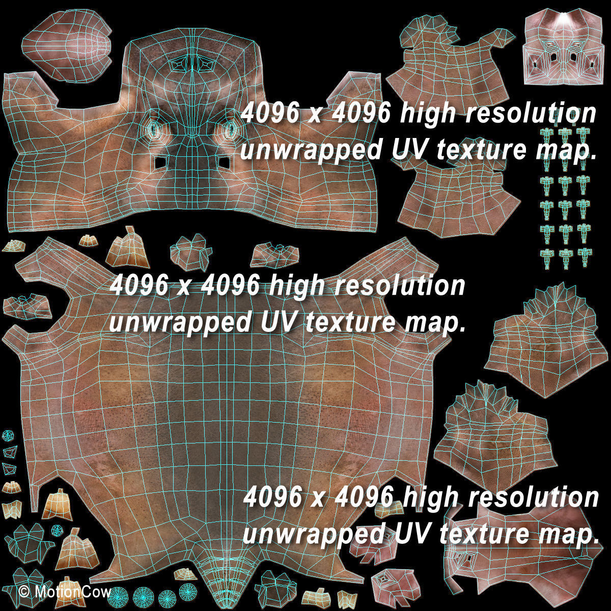 Hippopotamus 3D model_21