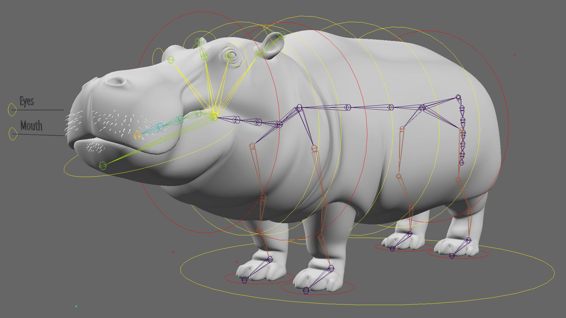 Hippopotamus 3D model_20
